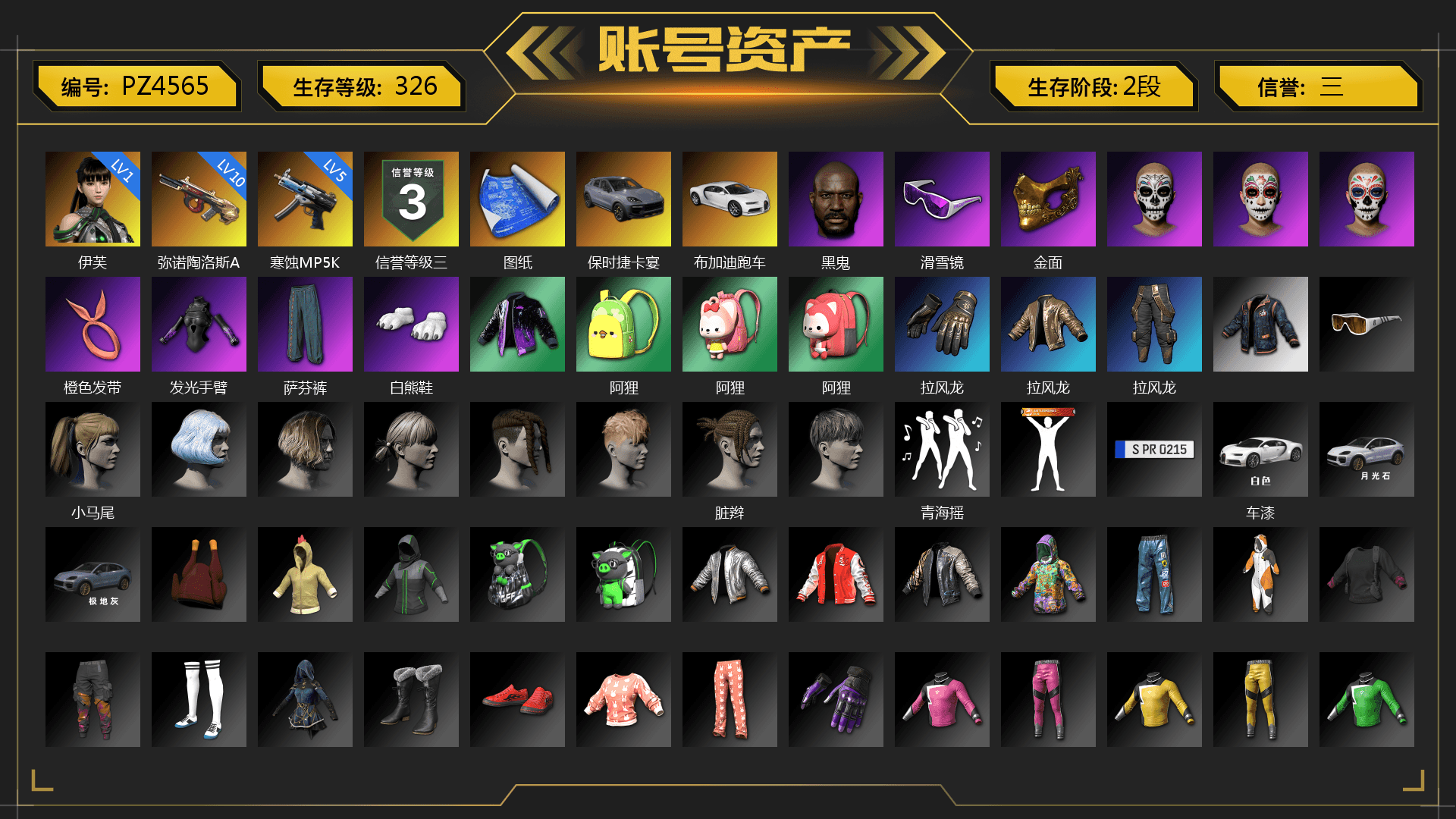 «Cayenne Turbo GT» SUV, «Chiron» Sports Car, Jonathan Kamau, Snow Glasses, PGC 2021 Contingent Chaos Mask, Polar Bear Feet, Harley Quinn's Hair, StreamerOne, Full Autumn — M416, Blue Thunder Gloves, HUYA T-shirt, DOUYU T-shirt, Sideshow Bear Feet