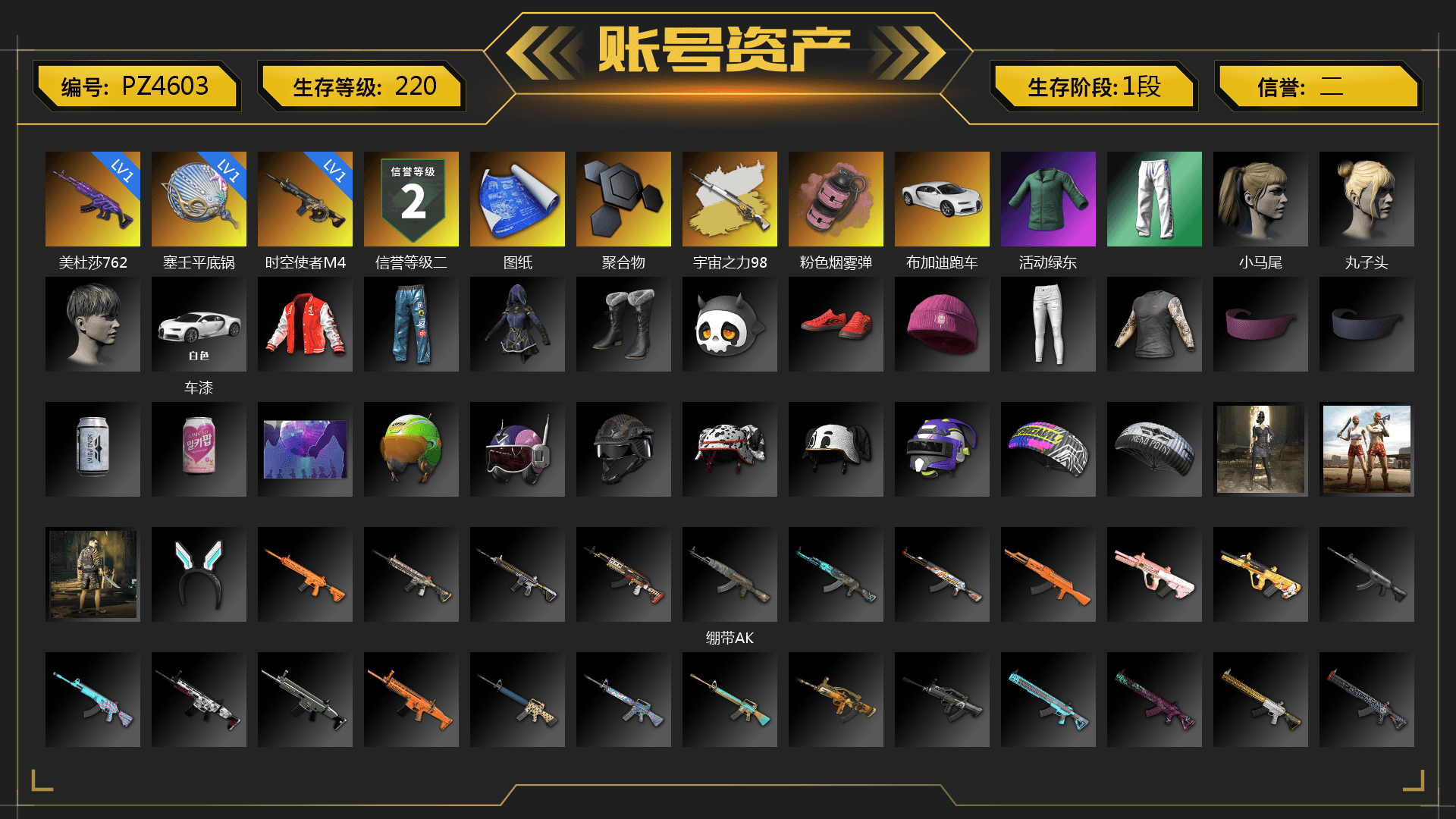 Pink Smoke Grenade, «Chiron» Sports Car, Harley Quinn's Hair, XingHun's Tiger Strike Pants