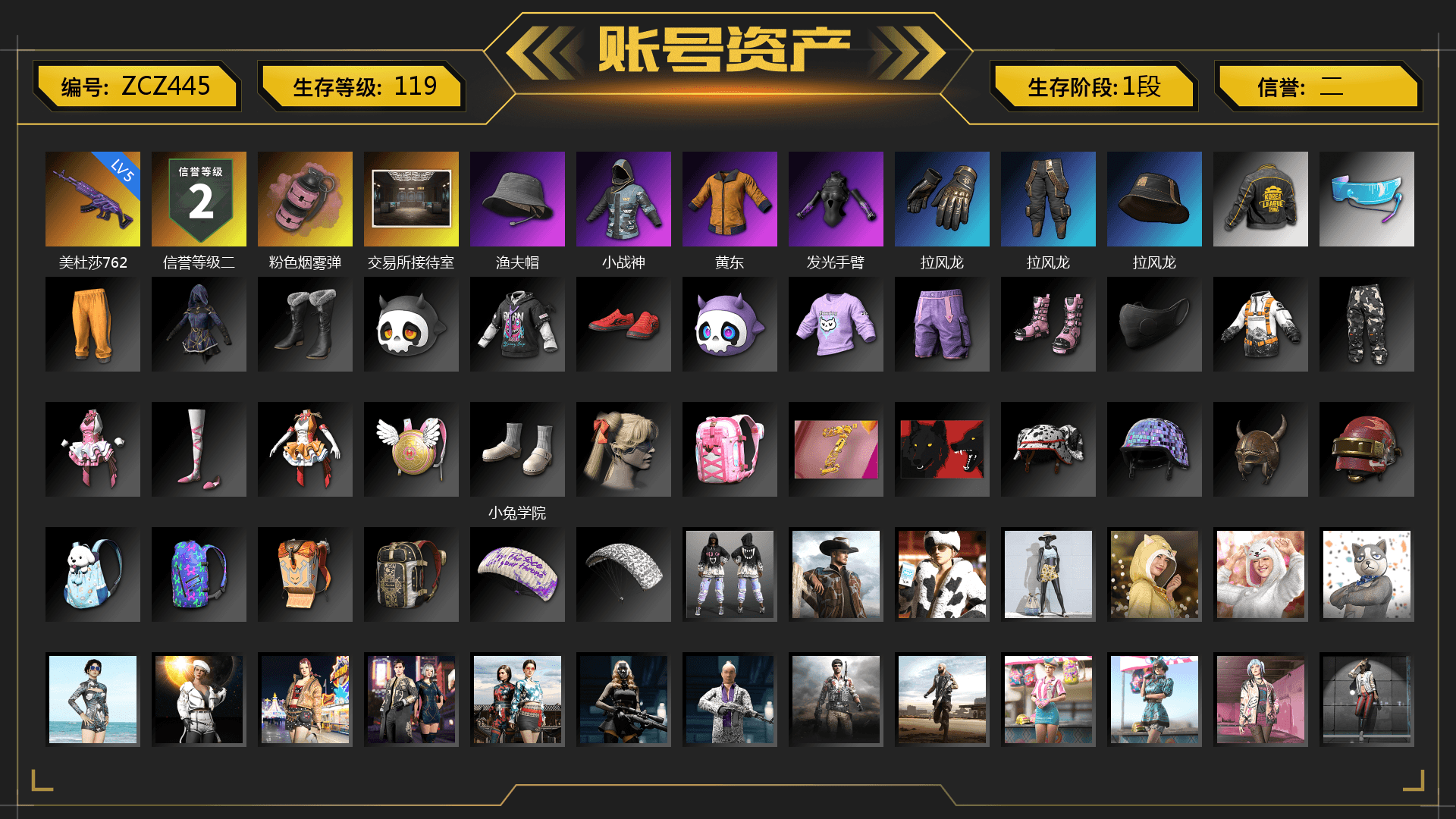 Pink Smoke Grenade, PKL 2019 Phase 2 Jacket, Full Autumn — M416
