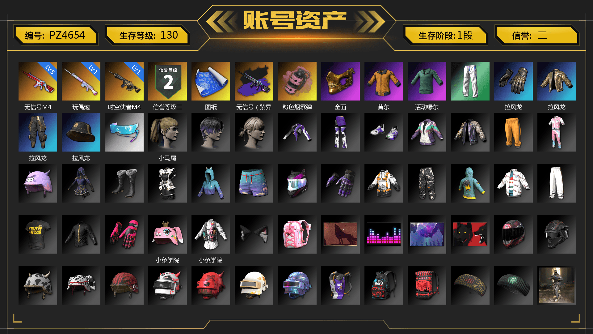 Pink Smoke Grenade, PGC 2021 Contingent Chaos Mask, Harley Quinn's Hair, XingHun's Tiger Strike Pants, StreamerOne, DOUYU T-shirt