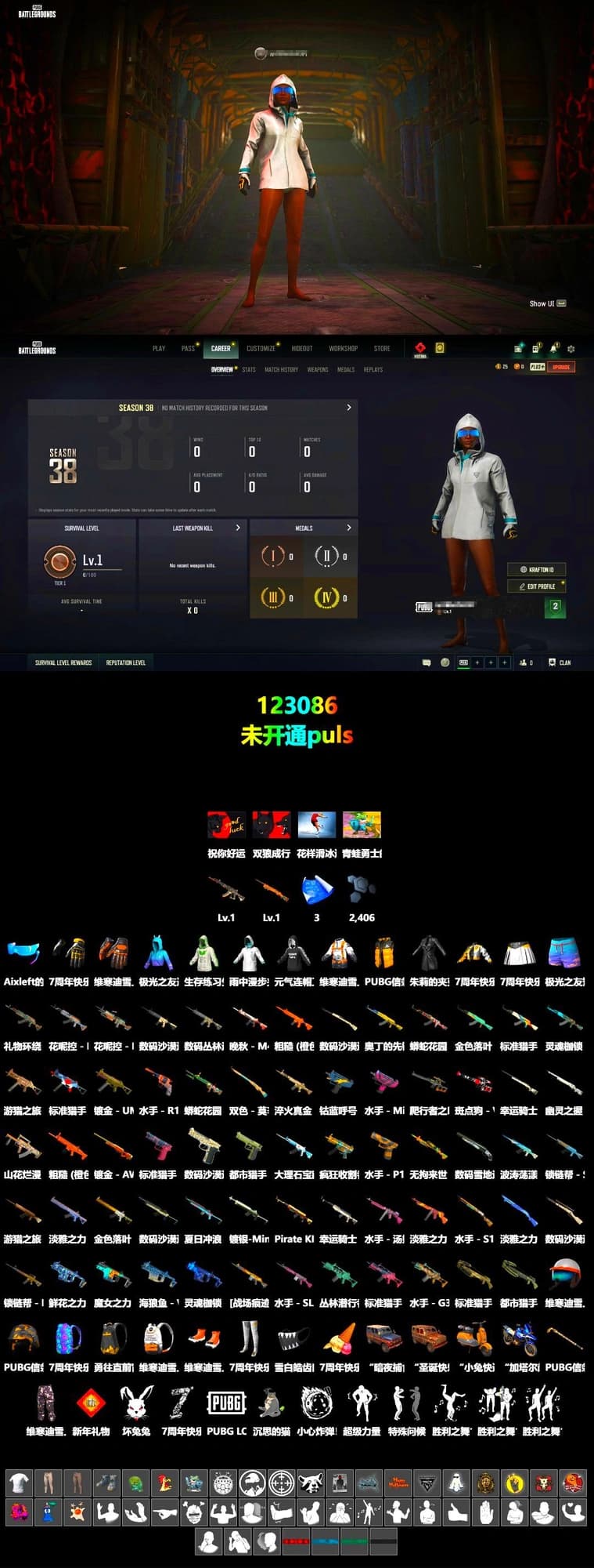 Pirate KIM's SKS, Aixleft's Gaming Streamer Hoodie, Full Autumn — M416, Silver Plate — Mini14 - 2