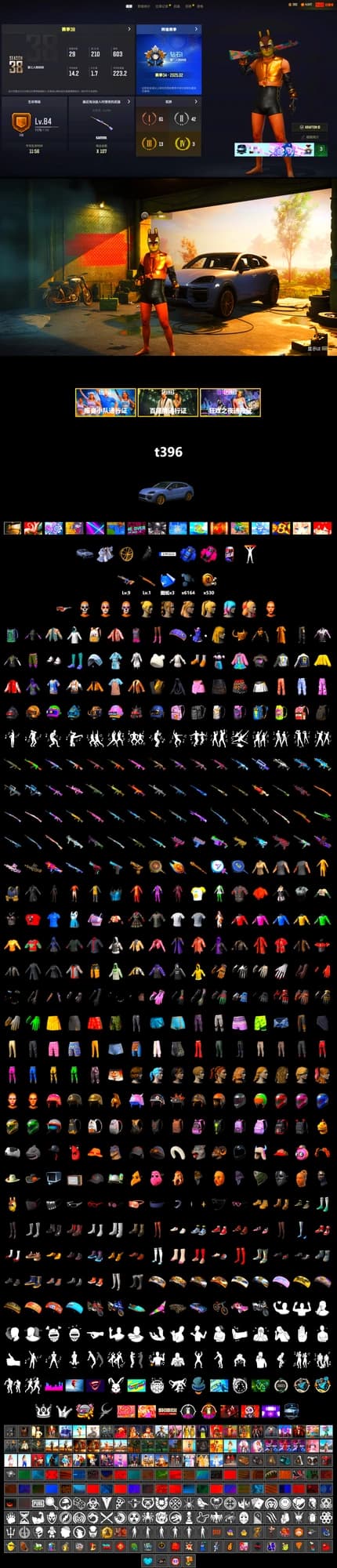 Blue Smoke Grenade, Magenta Smoke Grenade, «Cayenne Turbo GT» SUV, NPL 2019 Phase 2 Jacket, PJS 2019 Phase 2 Jacket, Grizz's Mask - 2