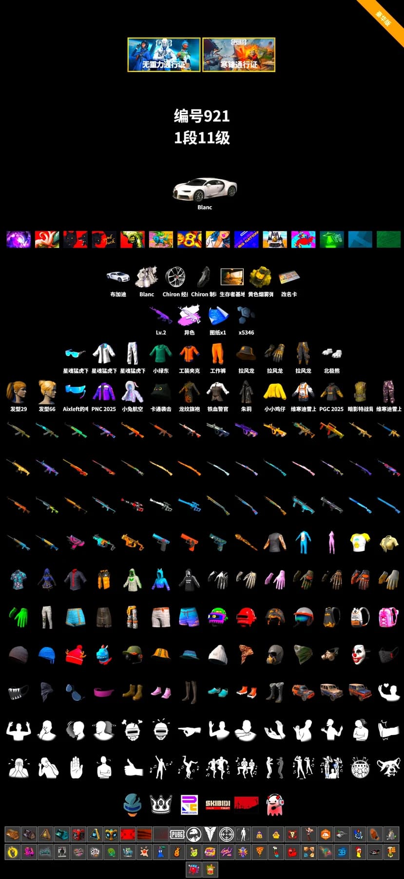 «Chiron» Sports Car, Training Jacket (Green), Work Jacket, Harley Quinn's Hair - 2