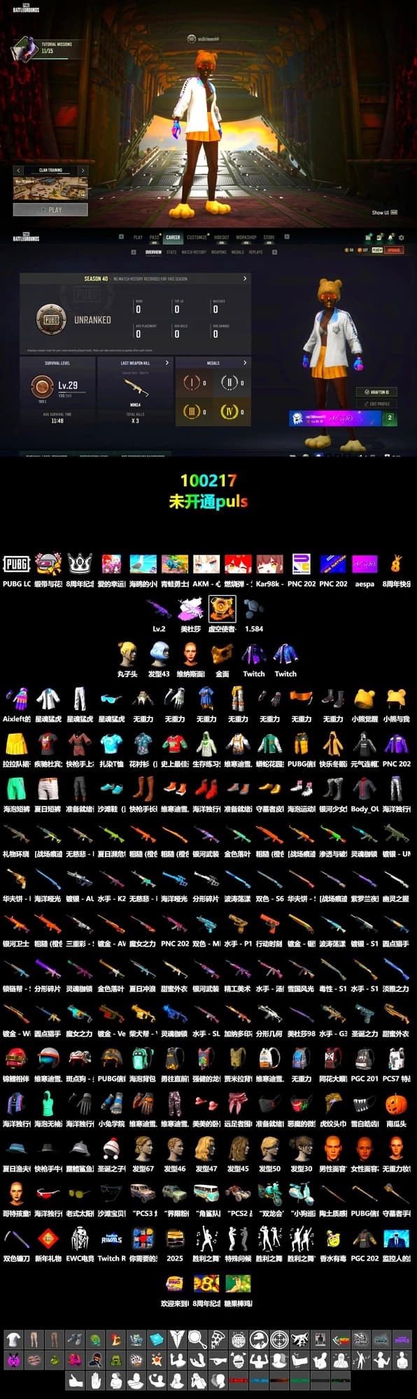 Void — Pan (Yellow Orange), Void — Pan, PGC 2021 Contingent Chaos Mask, XingHun's Tiger Strike Jacket, XingHun's Tiger Strike Pants, Aixleft's Gaming Streamer Hoodie, XingHun's Tiger Strike Snow Glasses, Grizz's Mask - 2