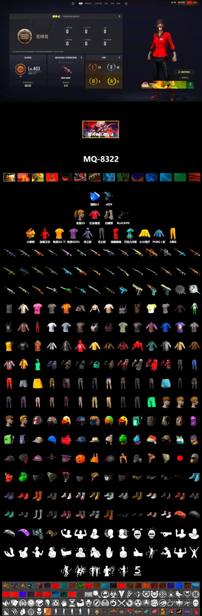 PAI 2019 Jacket, PGI Title Wraps, PUBG I Jacket, Harley Quinn's Hair, Ghosted — AKM, Ghosted — Kar98k, PGI 2018 «Four Angry Men» Hoodie, Full Autumn — M416, Silver Plate — M416, Gold Plate — M416, XingHun's AKM, Bengal Blade - SCAR-L, Grizz's Mask, PAI 2019 Mask, MET Asia Series Bomber Jacket, PGI T-Shirt, Esports IGL Shirt, P4wnyhof's Hotpants - 2