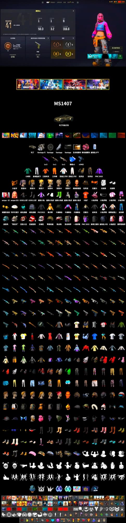 «V12 Vantage Roadster» Sports Car, PGC 2021 Contingent Chaos Mask, Work Jacket, Polar Bear Feet, aespa Stage, Harley Quinn's Hair, Bunny Academy Sailor Gloves, XingHun's Tiger Strike Pants, aespa GISELLE, Grizz's Mask, DOUYU T-shirt - 2