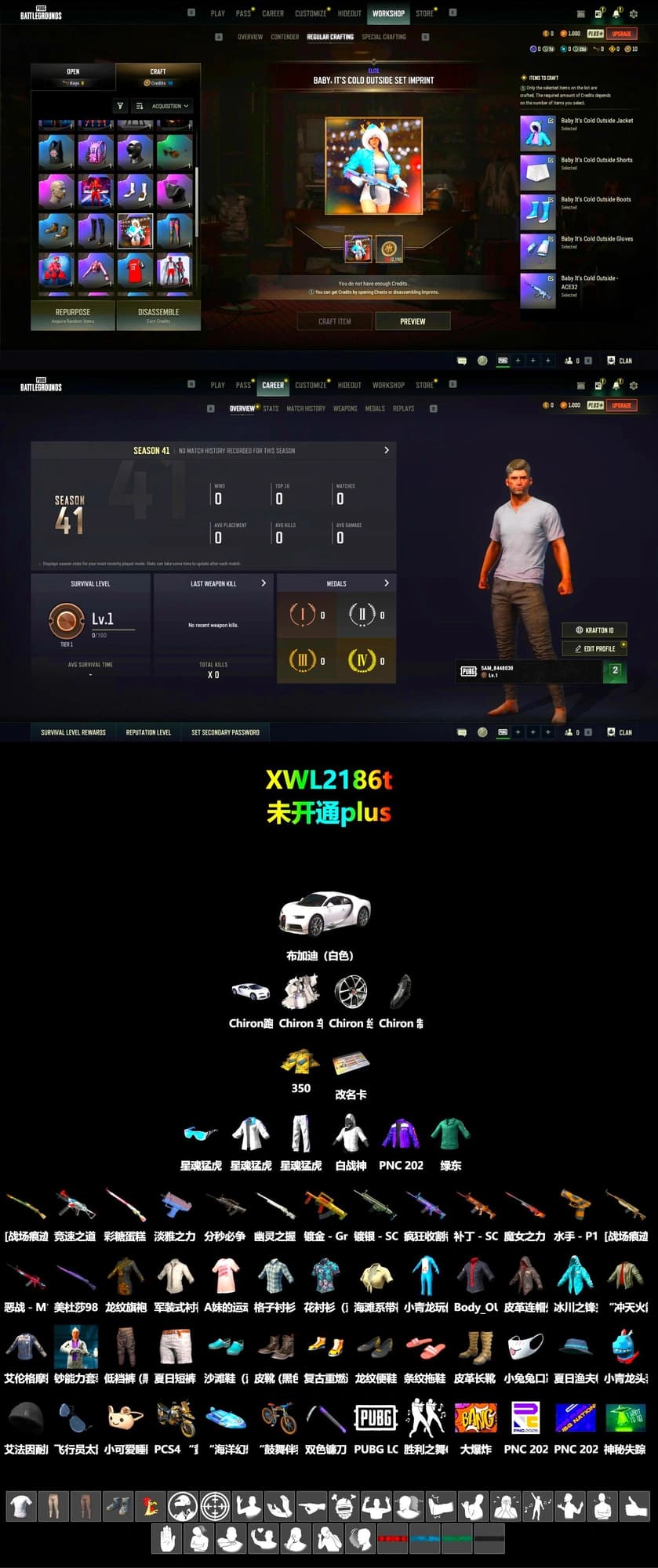 «Chiron» Sports Car, XingHun's Tiger Strike Jacket, XingHun's Tiger Strike Pants - 2