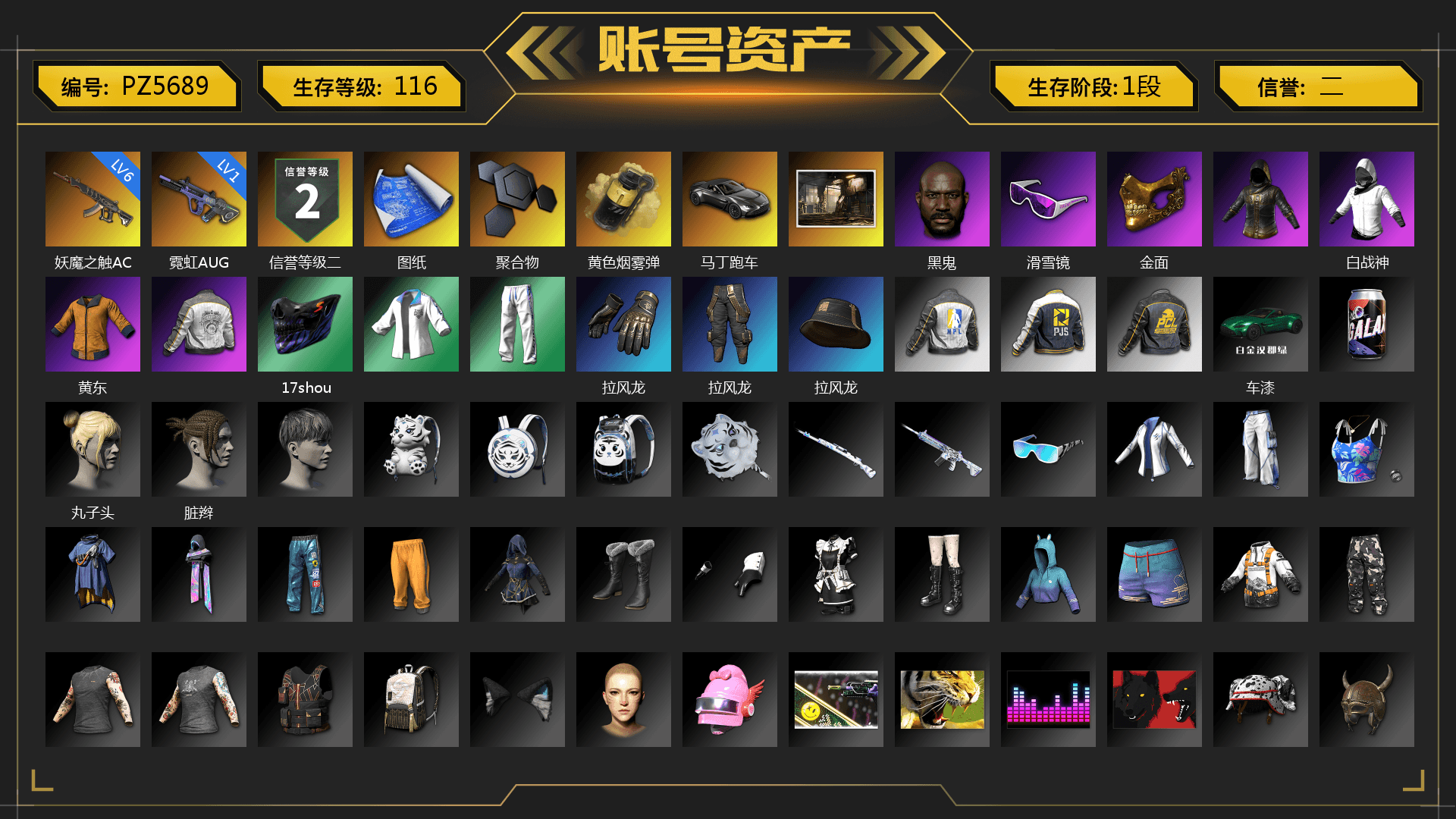 Yellow Smoke Grenade, «V12 Vantage Roadster» Sports Car, Jonathan Kamau, Snow Glasses, PGC 2021 Contingent Chaos Mask, PML 2019 Phase 2 Jacket, XingHun's Tiger Strike Jacket, XingHun's Tiger Strike Pants, NPL 2019 Phase 2 Jacket, PJS 2019 Phase 2 Jacket, Full Autumn — M416 - 1