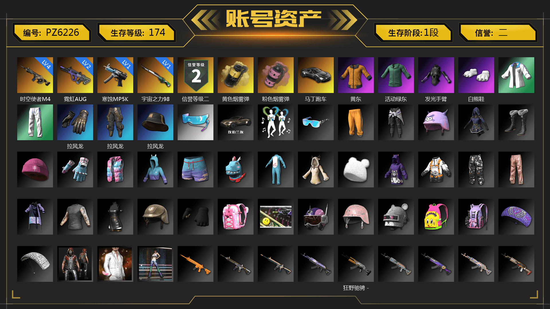 Yellow Smoke Grenade, Pink Smoke Grenade, «V12 Vantage Roadster» Sports Car, Polar Bear Feet, XingHun's Tiger Strike Jacket, XingHun's Tiger Strike Pants - 1