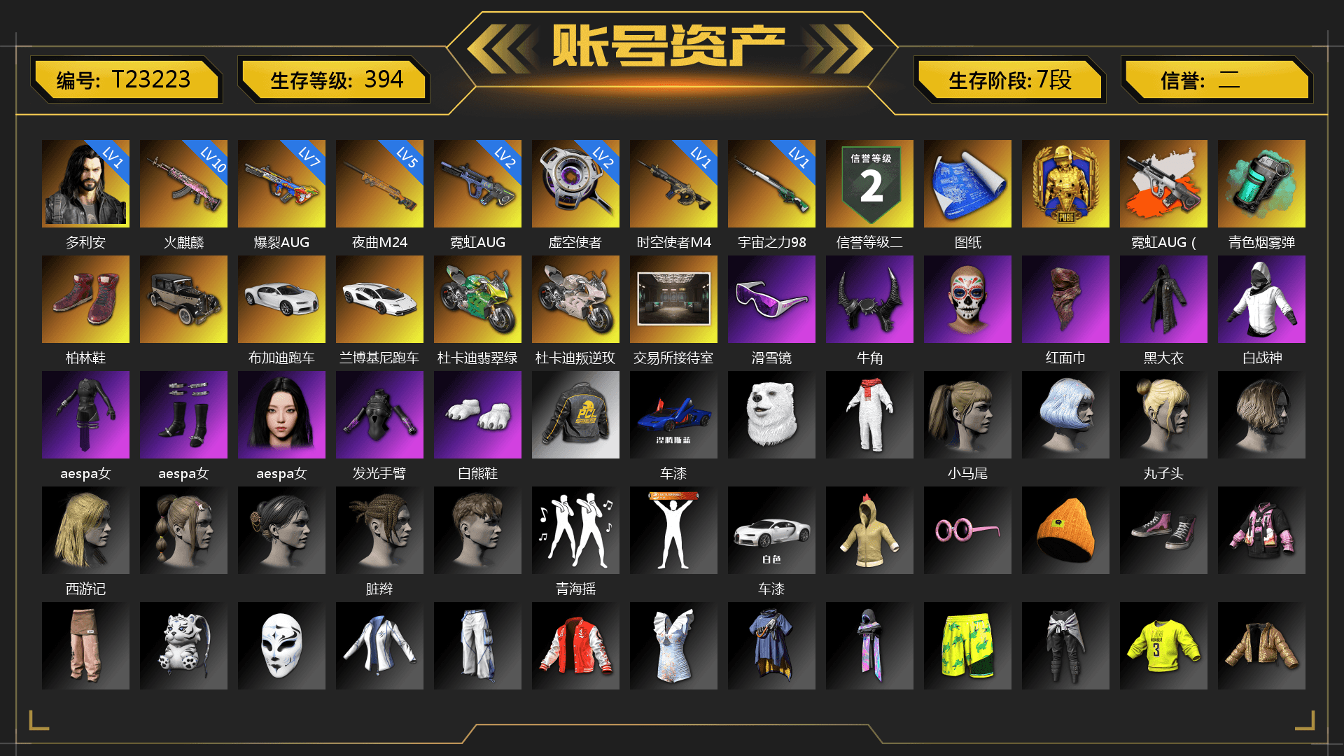Neon Dream - AUG (White Orange), Teal Smoke Grenade, Hi-top Trainers (Red), «Chiron» Sports Car, «Countach LPI 800-4» Sports Car, «Panigale V4 S (Jaded)» Motorcycle, «Panigale V4 S (Renegade Rose)» Motorcycle, Snow Glasses, Demon Biker Horns, PLAYERUNKNOWN's Bandana, Heavy Fur Coat (Black), Aespa, Polar Bear Feet, Harley Quinn's Hair, StreamerOne, Festive Gloves (Red), GLL Grand Slam Sweatshirt - 1