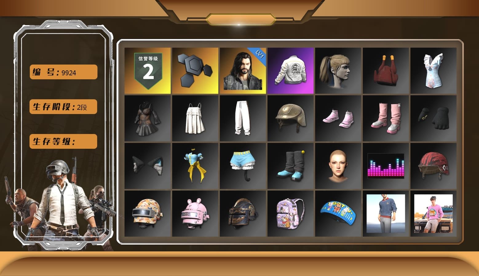 Harley Quinn's Hair, PEL 2019 Phase 2 Jacket - 1