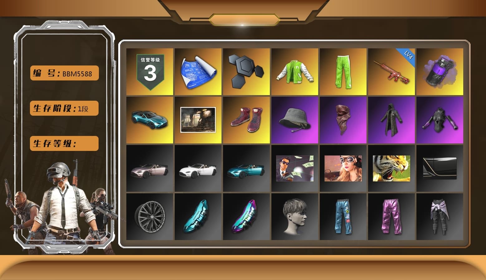 NVIDIA Varsity Jacket, Purple Smoke Grenade, Hi-top Trainers (Red), «V12 Vantage Roadster (Luxe)» Sports Car, PLAYERUNKNOWN's Bandana, Heavy Fur Coat (Black), Gold Plate — M416, «DBX707» SUV - 1