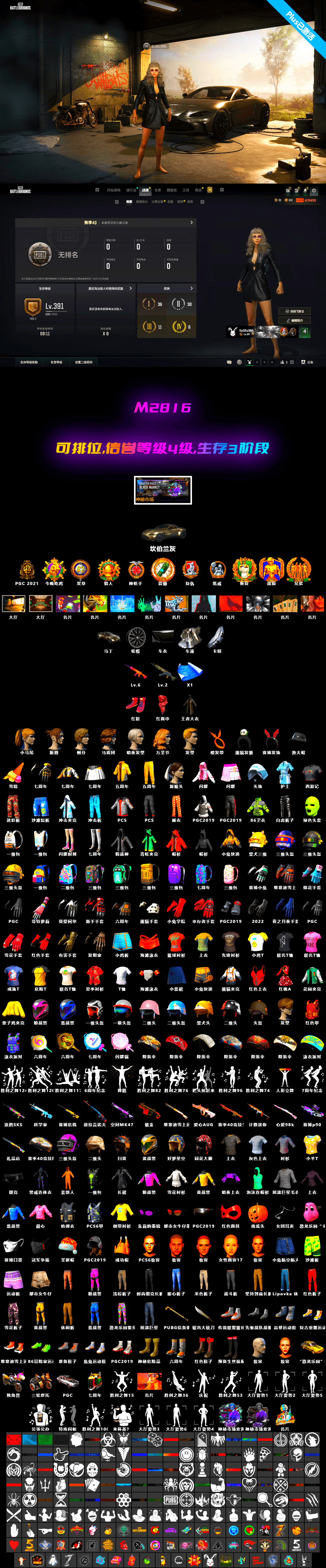Trick-or-treat — M416, Azure Dragon — Beryl M762, Harley Quinn's Hair, «V12 Vantage Roadster» Sports Car - 2
