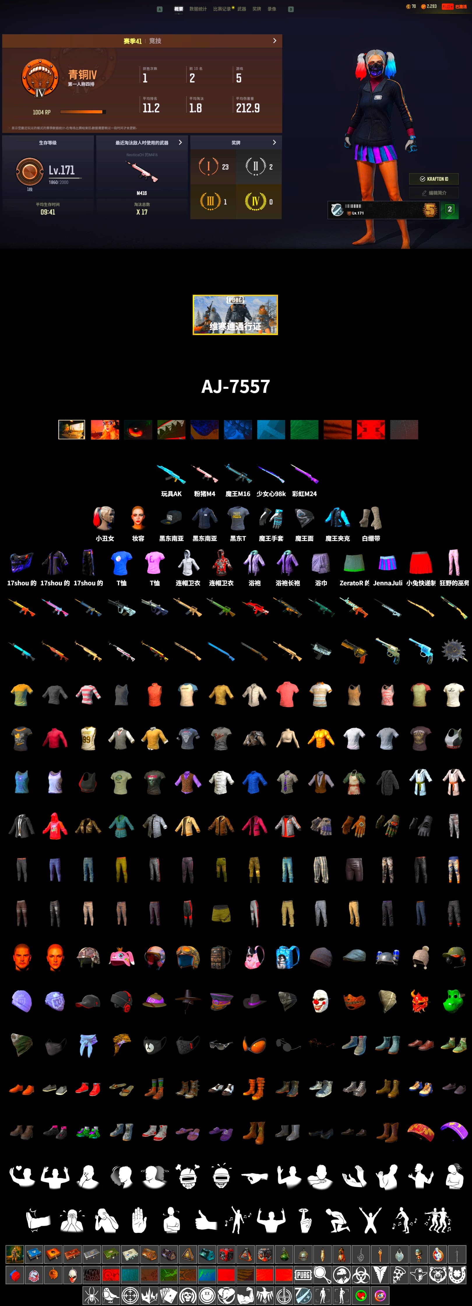 SEA Champ Training T-shirt, Shroud's Gloves, PGI Title Wraps, Harley Quinn's Hair, NeoticaCH's M416, Ashek's AKM, Lumi's Kar98k, SEA Champ Training Snapback, Pirate KIM's M416, Pirate KIM's SKS, JennaJulien's M24, Harley Quinn's Makeup, Shroud's Varsity Jacket, JennaJulien's Pleated Skirt, PGI Ringside Hoodie, PGI 2018 «Four Angry Men» Hoodie, shroud's M16A4, Gold Plate — M416, Bengal Blade - SCAR-L, Crimson Snowflake - QBZ, PAI 2019 Mask, Killer Clown Mask, shroud's Cloth Mask, PGI T-Shirt, Heavy Fur Coat (Black), Zerator's Pleated Skirt - 2