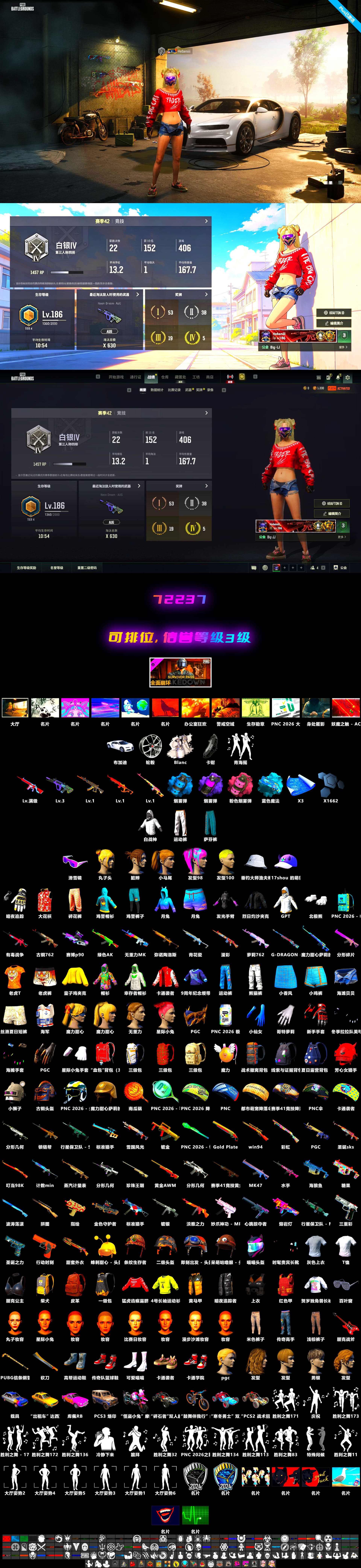 Neon Dream — AUG [MAX], Blue Magical Mist — M79, No Signal — M416, Yule Sleigh — Mini14, «Chiron» Sports Car, Snow Glasses, Harley Quinn's Hair, Azure Smoke Grenade, Purple Smoke Grenade, Demon's Touch — ACE32, «Chiron» Sports Car - 2