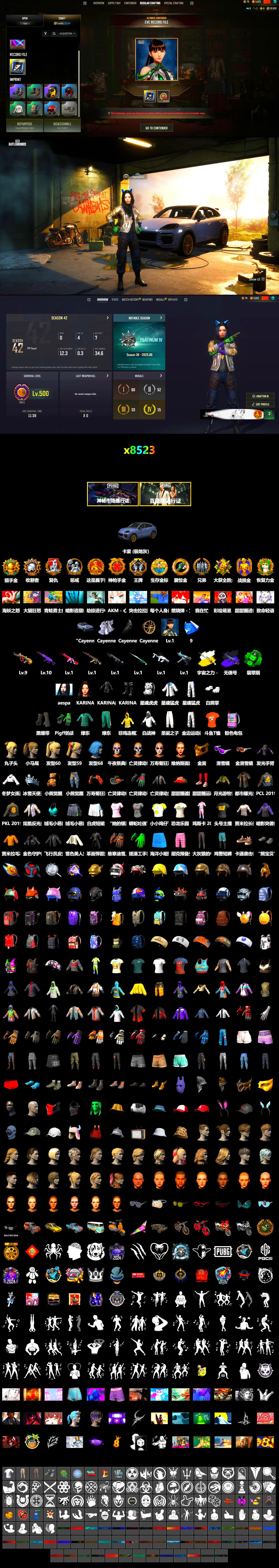 No Signal — M416 (Purple Charcoal), Cosmic Caliber - Kar98k (White Yellow), Cosmic Caliber - Kar98k, Emerald Smoke Grenade, Duncan's Infiltrator Handwraps, «Cayenne Turbo GT» SUV, Snow Glasses, PGC 2021 Contingent Chaos Mask, Aespa, Polar Bear Feet, Harley Quinn's Hair, XingHun's Tiger Strike Jacket, XingHun's Tiger Strike Pants, PKL 2019 Phase 2 Jacket, Sha Wujing's Shorts, StreamerOne, Training Jacket (Green), Blue Thunder Gloves, DOUYU T-shirt - 2