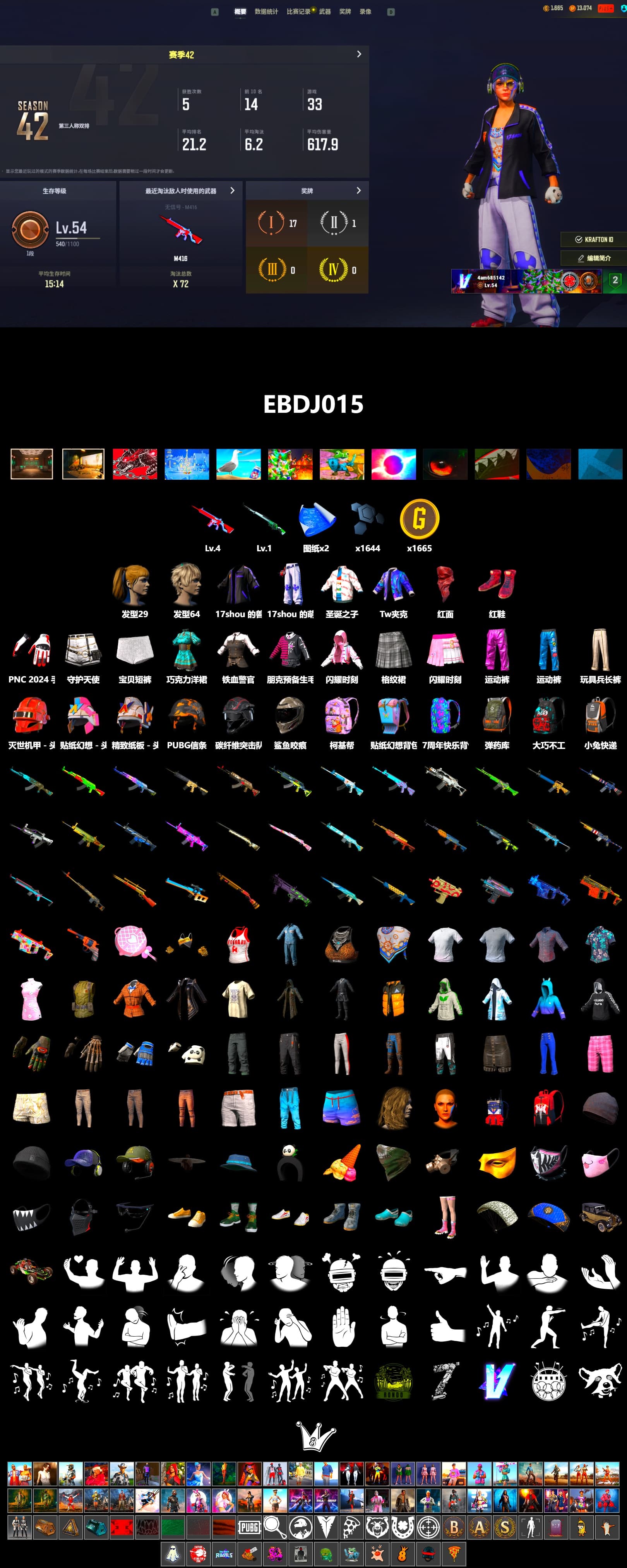 Hi-top Trainers (Red), PLAYERUNKNOWN's Bandana, Heavy Fur Coat (Black), Harley Quinn's Hair - 2