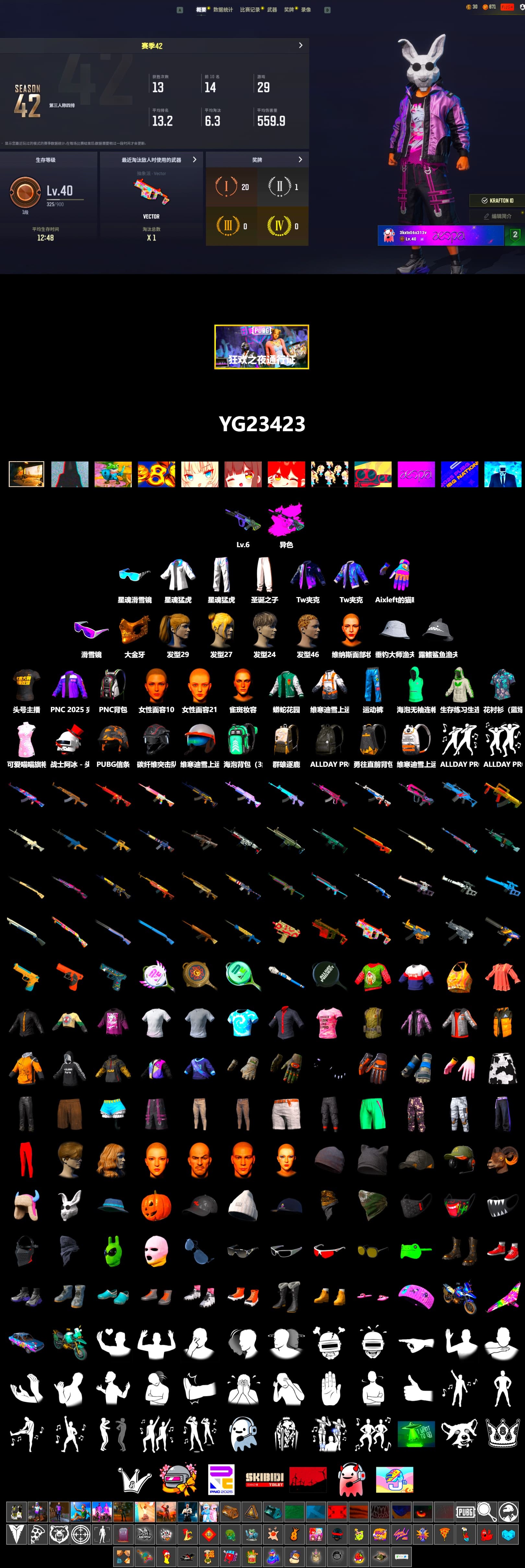Snow Glasses, PGC 2021 Contingent Chaos Mask, Harley Quinn's Hair, XingHun's Tiger Strike Jacket, XingHun's Tiger Strike Pants, StreamerOne, GLL Grand Slam Sweatshirt - 2