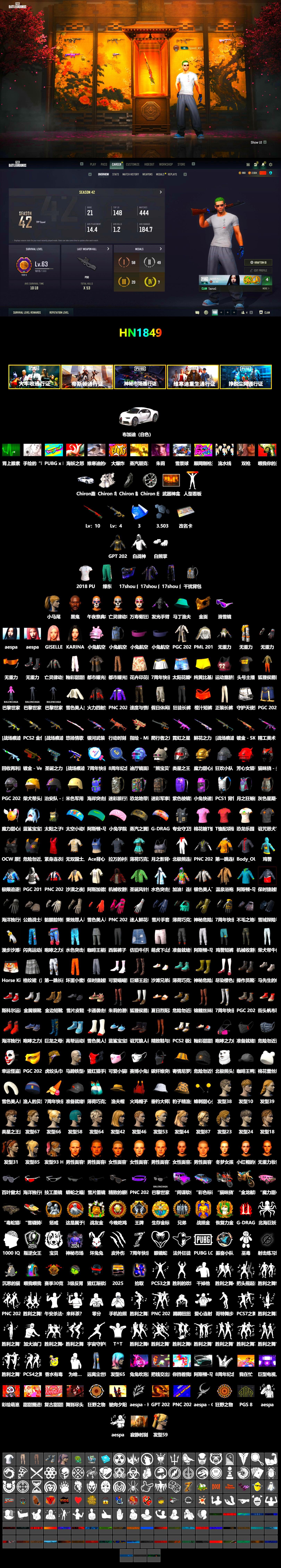 «Chiron» Sports Car, Jonathan Kamau, Snow Glasses, PGC 2021 Contingent Chaos Mask, Aespa, Polar Bear Feet, Harley Quinn's Hair, PML 2019 Phase 2 Jacket, Sha Wujing's Shorts, StreamerOne, Training Jacket (Green), 2018 PUBG ALL-STAR T-shirt (Korean), «DBX707» SUV - 2