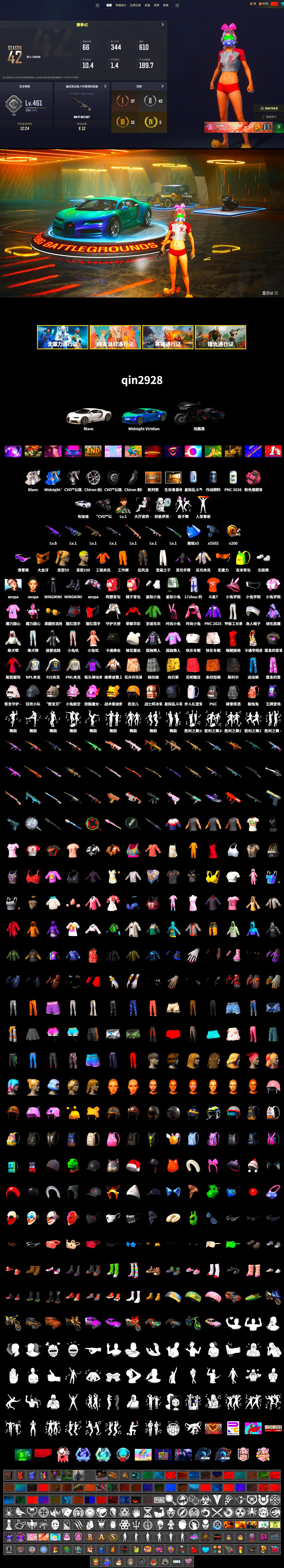 Rest in Pink — Dragunov [1], «Chiron» Sports Car, Snow Glasses, PGC 2021 Contingent Chaos Mask, Aespa, Polar Bear Feet, PML 2019 Phase 2 Jacket, NPL 2019 Phase 2 Jacket, PJS 2019 Phase 2 Jacket, Full Autumn — M416, GLL Grand Slam Sweatshirt, DOUYU T-shirt - 2