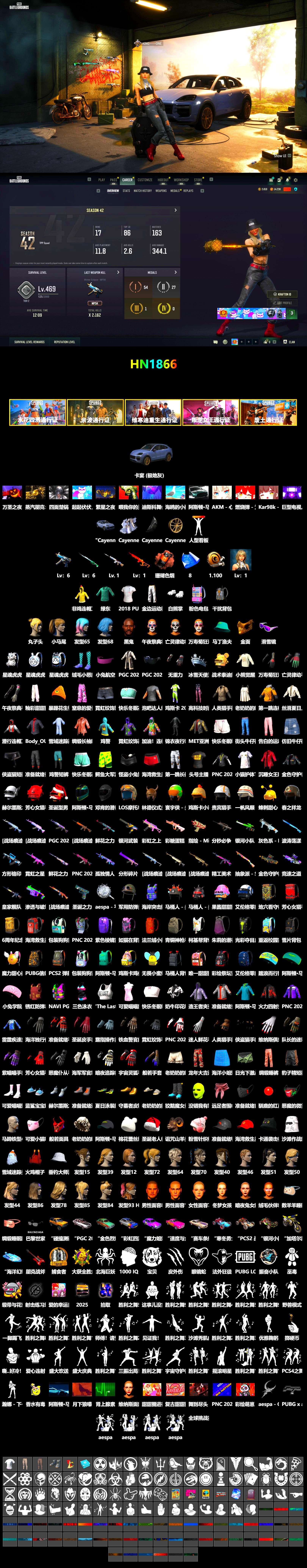 Coral Smoke Grenade, «Cayenne Turbo GT» SUV, Jonathan Kamau, Snow Glasses, PGC 2021 Contingent Chaos Mask, Polar Bear Feet, Harley Quinn's Hair, Sha Wujing's Shorts, StreamerOne, 2018 PUBG ALL-STAR T-shirt (Korean), Hanna, «DBX707» SUV - 2