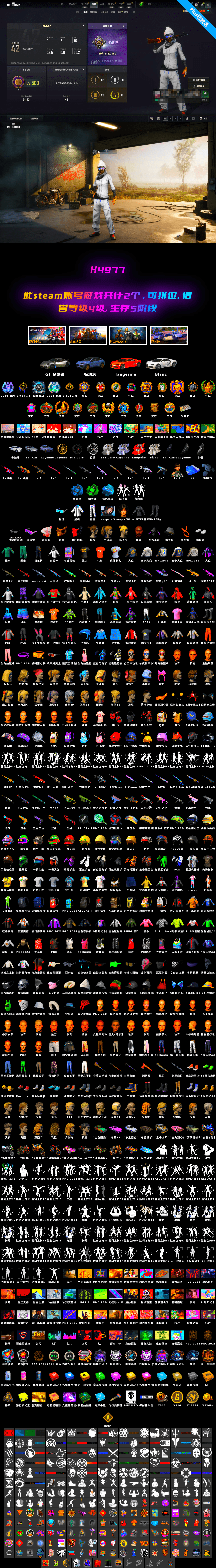 Minotaur — AUG [MAX], Midnight Menace — Kar98k [MAX], Blue Magical Mist — M79, Obscura - Mk12 [1], Cosmic Caliber - Kar98k [1], Emerald Smoke Grenade, No Signal — M416, Winter Eclipse — MP5K, Cerberus — M249, Deadly Dollhouse — SLR, «Chiron» Sports Car, Harley Quinn's Hair, Jonathan Kamau, PGC 2021 Contingent Chaos Mask, Snow Glasses, Azure Smoke Grenade, Demon's Touch — ACE32, Aespa, Sun Scorched — S1897, «Chiron» Sports Car, «Cayenne Turbo GT» SUV, EVE - 2