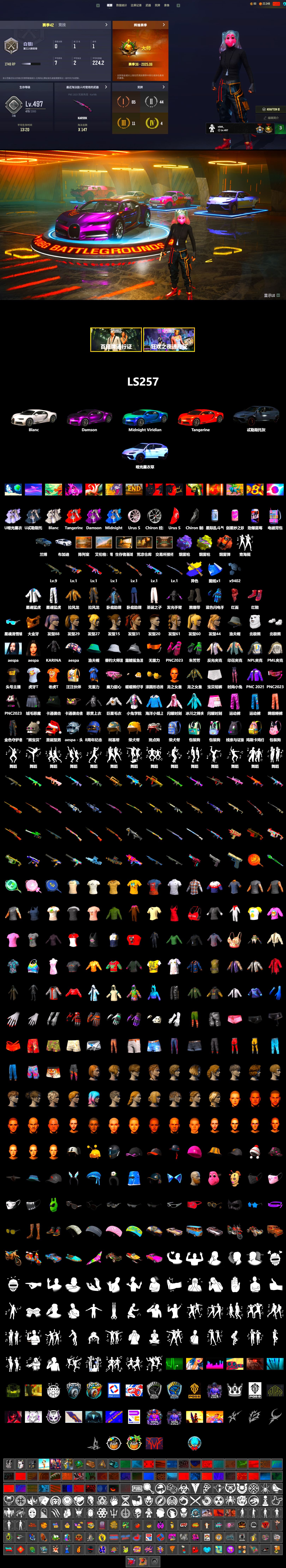 Coral Smoke Grenade, Yellow Fog of Fury — M79, Purple Magical Mist — M79, Hi-top Trainers (Red), Duncan's Infiltrator Handwraps, «Chiron» Sports Car, PGC 2021 Contingent Chaos Mask, PLAYERUNKNOWN's Bandana, Heavy Fur Coat (Black), Aespa, Polar Bear Feet, Harley Quinn's Hair, PML 2019 Phase 2 Jacket, XingHun's Tiger Strike Jacket, XingHun's Tiger Strike Pants, NPL 2019 Phase 2 Jacket, StreamerOne, Blue Thunder Gloves, GLL Grand Slam Sweatshirt, HUYA T-shirt - 2