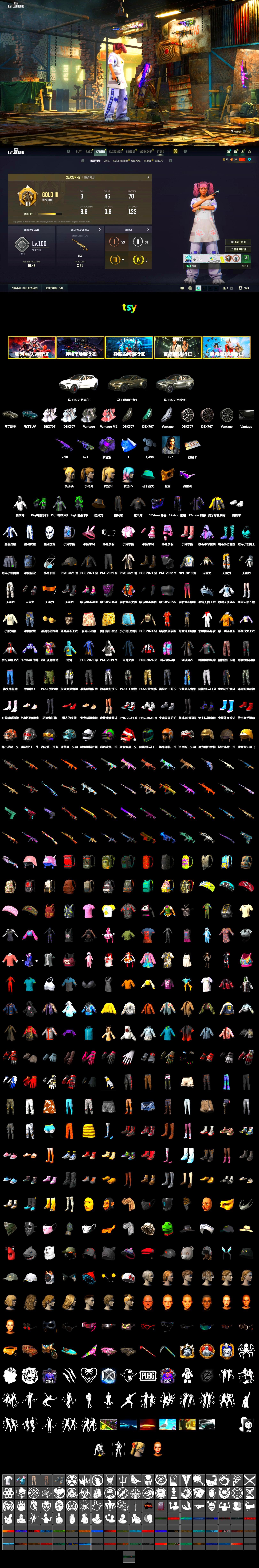 Purple Smoke Grenade, «V12 Vantage Roadster» Sports Car, «DBX707» SUV, Snow Glasses, PGC 2021 Contingent Chaos Mask, Polar Bear Feet, Harley Quinn's Hair, Pirate KIM's SKS, PEL 2019 Phase 2 Jacket, NPL 2019 Phase 2 Jacket, PJS 2019 Phase 2 Jacket, «DBX707» SUV - 2