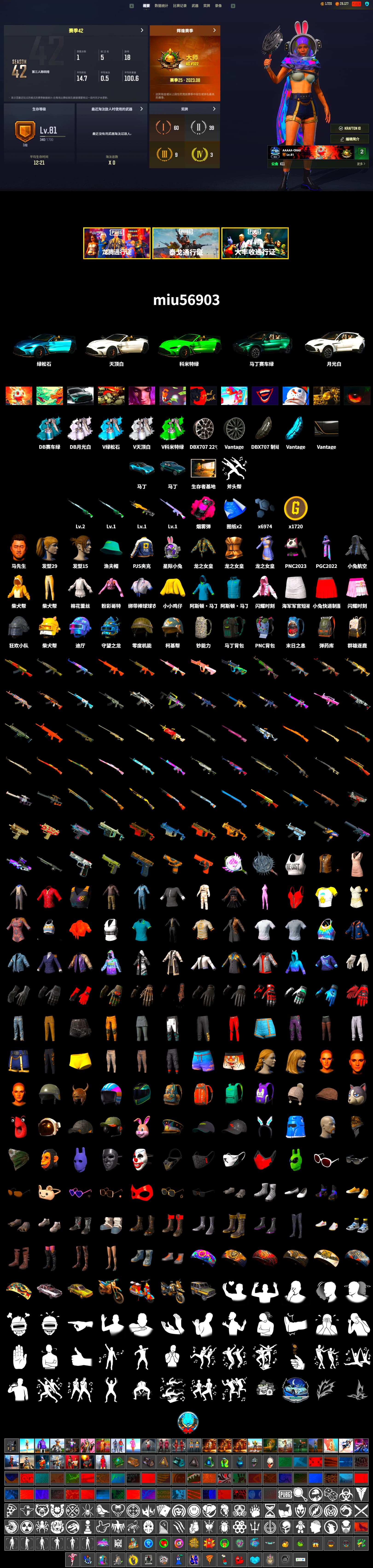 Magenta Smoke Grenade, «V12 Vantage Roadster (Luxe)» Sports Car, «DBX707» SUV, Harley Quinn's Hair, PJS 2019 Phase 2 Jacket, «DBX707» SUV, Diva Glasses (White) - 2