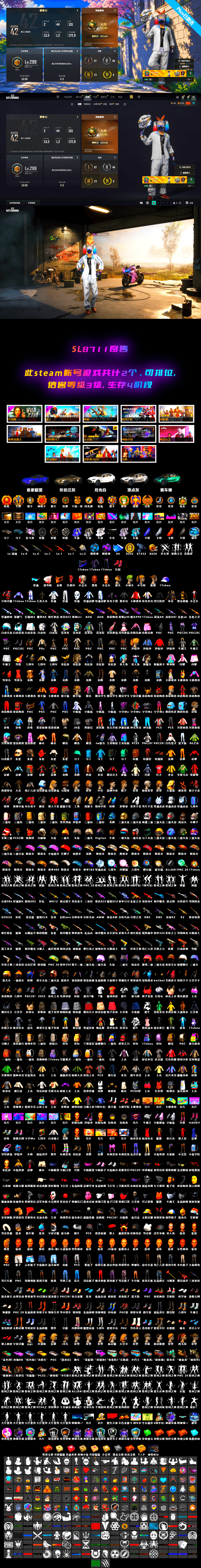 Cyber Threat — Mk12 [MAX], Neon Dream — AUG, Azure Dragon — Beryl M762, White Tiger — Pan, Santa's Helper — AKM, Sun Wukong — M24, «Panigale V4 S (Ducati Red)» Motorcycle, Jonathan Kamau, PGC 2021 Contingent Chaos Mask, Harley Quinn's Hair, Hairstyle PGI.S, Harley Quinn's Hair, Danucd's Gloves, «V12 Vantage Roadster» Sports Car, «DBX707» SUV, «Panigale V4 S (Twilight Torque)» Motorcycle, Azure Smoke Grenade, Purple Smoke Grenade, Demon's Touch — ACE32 - 2