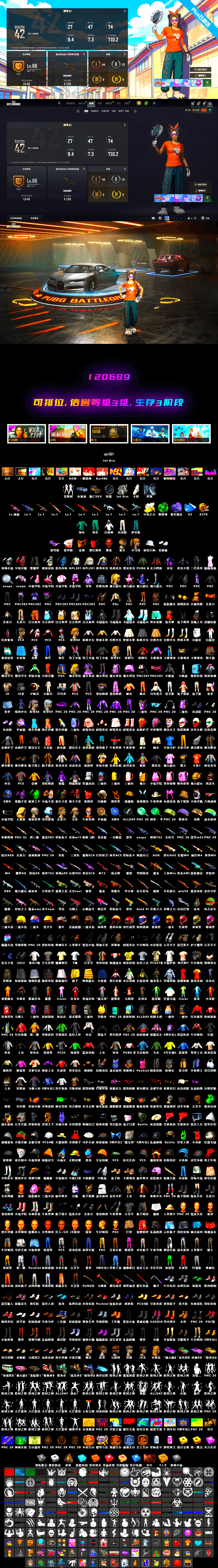 Neon Dream — AUG [MAX], Purple Magical Mist — M79, Cosmic Caliber - Kar98k [1], Emerald Smoke Grenade, No Signal — M416, Winter Eclipse — MP5K, Yule Sleigh — Mini14, Cerberus — M249, «Chiron» Sports Car, Danucd's Gloves, PGC 2021 Contingent Chaos Mask, Snow Glasses, Jonathan Kamau, Harley Quinn's Hair, Demon's Touch — ACE32, Aespa, «Chiron» Sports Car, Final Serenade — M24, Cosmic Caliber - Kar98k (White Yellow) - 2