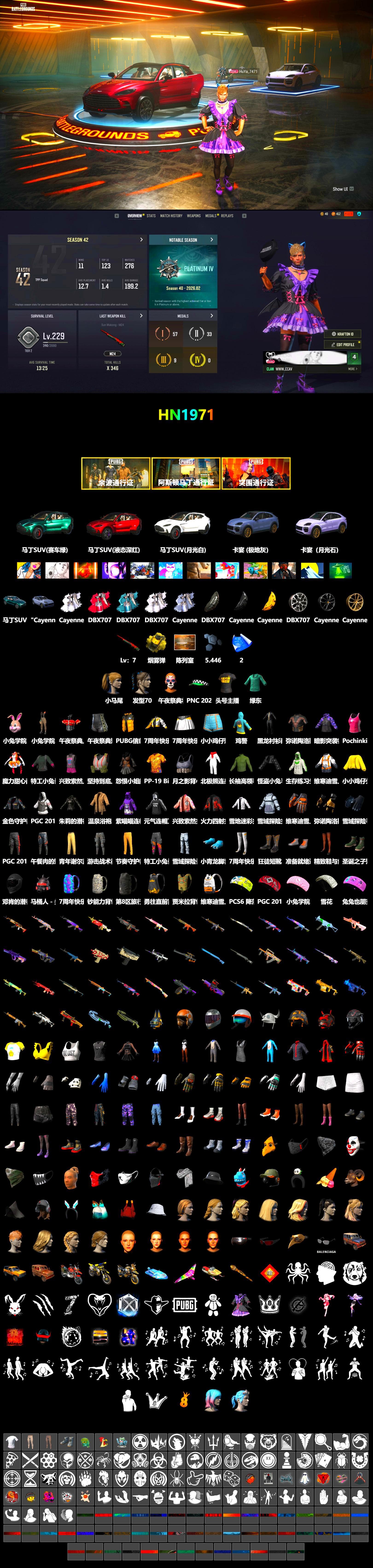 Yellow Smoke Grenade, «Cayenne Turbo GT» SUV, «DBX707» SUV, Harley Quinn's Hair, «DBX707» SUV, StreamerOne - 2