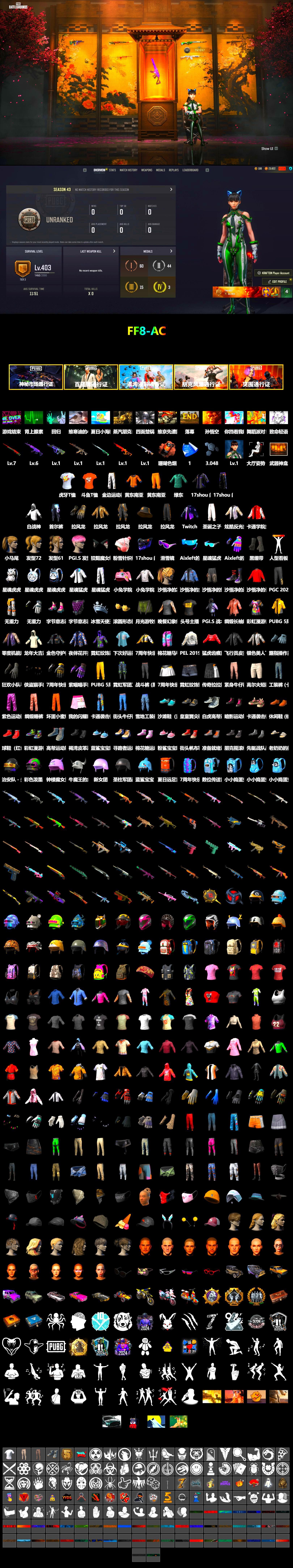 Coral Smoke Grenade, Duncan's Infiltrator Handwraps, Snow Glasses, Pubg X Newjeans, Harley Quinn's Hair, PEL 2019 Phase 2 Jacket, XingHun's Tiger Strike Jacket, XingHun's Tiger Strike Pants, StreamerOne, 17SHOU's Beryl M762, PGC 2019 - AKM, PGC 2019 — SCAR-L, PGC 2019 — Mini14, PGC 2019 — Pan, Crash Test Handwraps, HUYA T-shirt, DOUYU T-shirt, «DBX707» SUV - 2