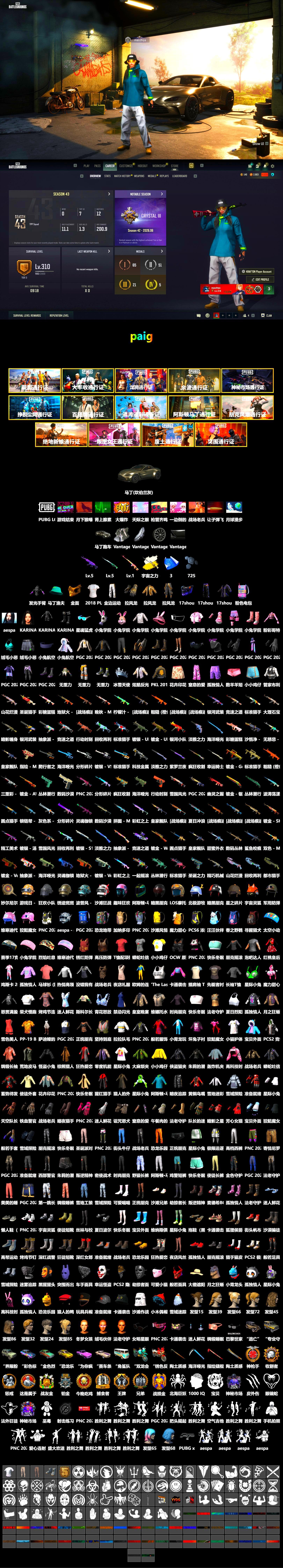 Rest in Pink — Dragunov [1], Cosmic Caliber - Kar98k (White Yellow), Cosmic Caliber - Kar98k, «V12 Vantage Roadster» Sports Car, PGC 2021 Contingent Chaos Mask, Aespa, PKL 2019 Phase 2 Jacket, Sha Wujing's Shorts, Full Autumn — M416, 2018 PUBG ALL-STAR T-shirt (Korean) - 2
