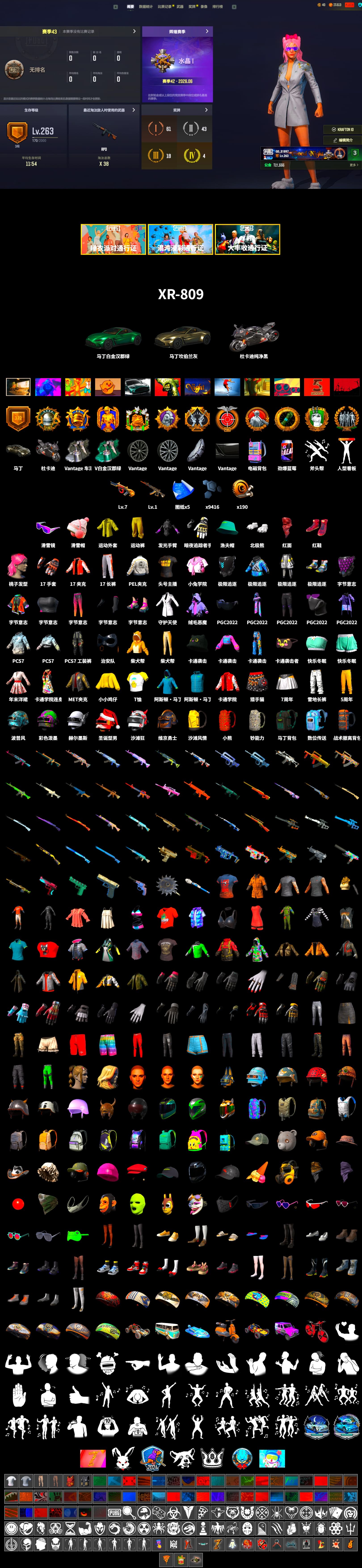 Hi-top Trainers (Red), «V12 Vantage Roadster» Sports Car, «Panigale V4 S (Pitch Black)» Motorcycle, Snow Glasses, PLAYERUNKNOWN's Bandana, Heavy Fur Coat (Black), Polar Bear Feet, PEL 2019 Phase 2 Jacket, StreamerOne, «DBX707» SUV - 2