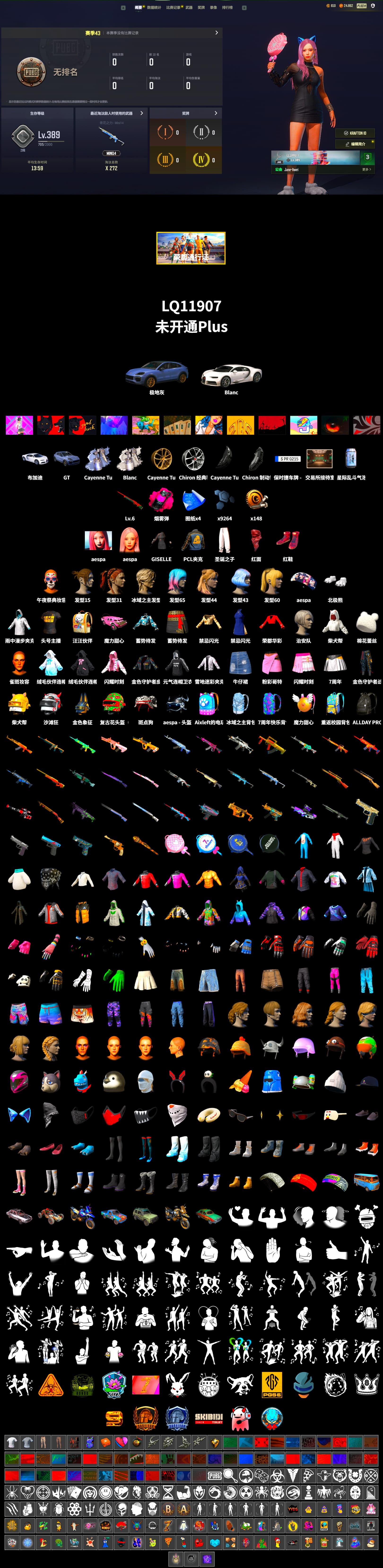 Magenta Smoke Grenade, Hi-top Trainers (Red), «Cayenne Turbo GT» SUV, «Chiron» Sports Car, PLAYERUNKNOWN's Bandana, Heavy Fur Coat (Black), Aespa, Polar Bear Feet, StreamerOne - 2