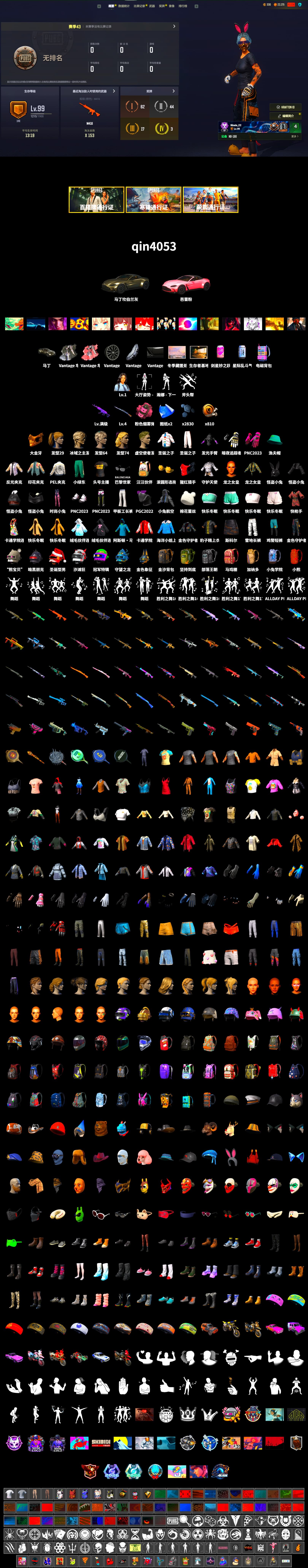 Pink Smoke Grenade, «V12 Vantage Roadster» Sports Car, PGC 2021 Contingent Chaos Mask, Harley Quinn's Hair, PEL 2019 Phase 2 Jacket, Sha Wujing's Shorts, StreamerOne, Training Jacket (Green), Diva Glasses (White) - 2