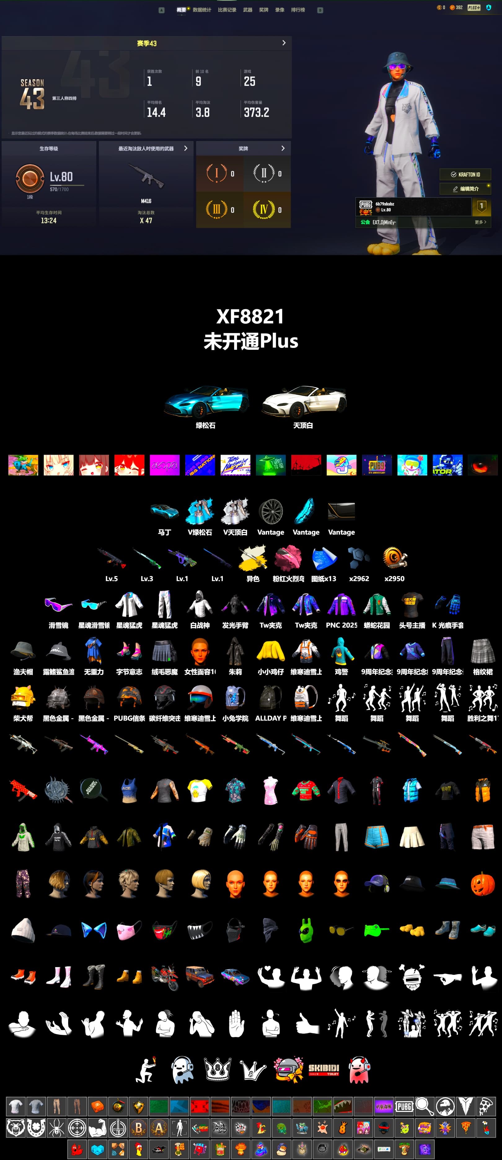 Cosmic Caliber - Kar98k (White Yellow), «V12 Vantage Roadster (Luxe)» Sports Car, Snow Glasses, XingHun's Tiger Strike Jacket, XingHun's Tiger Strike Pants, StreamerOne - 2