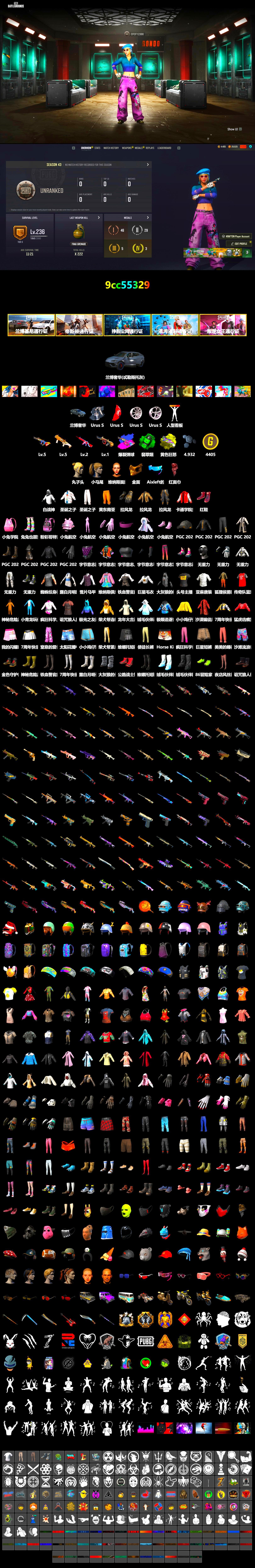 Emerald Smoke Grenade, Yellow Fog of Fury — M79, Hi-top Trainers (Red), PGC 2021 Contingent Chaos Mask, PLAYERUNKNOWN's Bandana, Heavy Fur Coat (Black), Harley Quinn's Hair, Sha Wujing's Shorts, StreamerOne - 2
