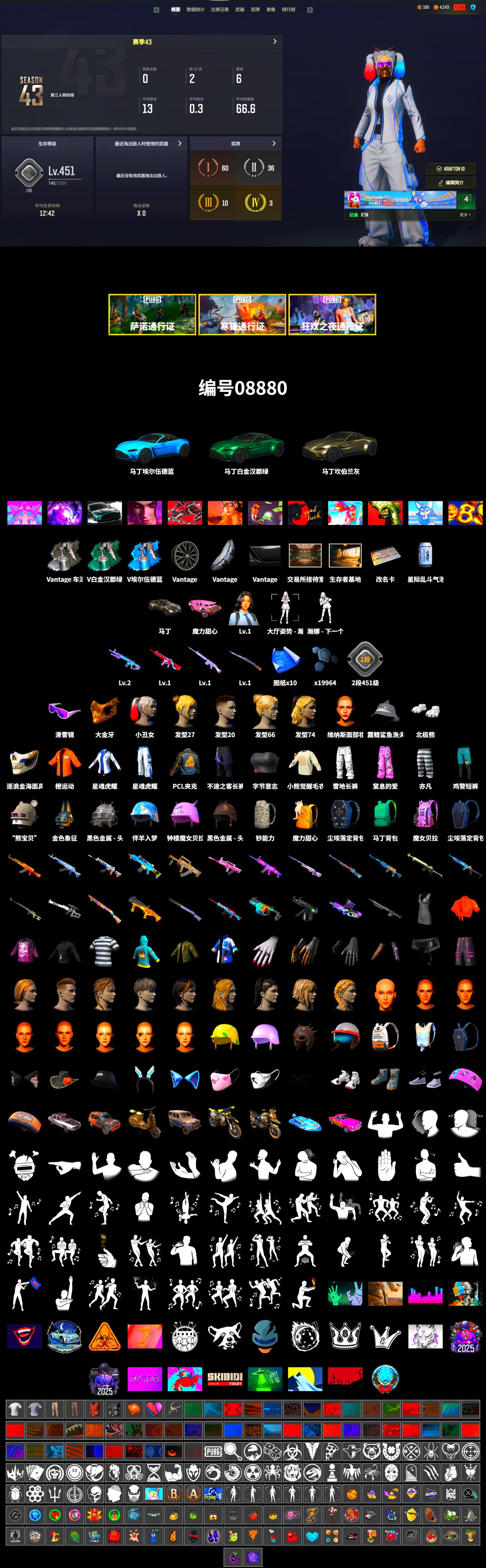 Harley Quinn's Hair, «V12 Vantage Roadster» Sports Car, Snow Glasses, PGC 2021 Contingent Chaos Mask, Escapee Jacket, Jailbird T-Shirt, Polar Bear Feet, Sha Wujing's Shorts, Silver Plate — Mini14, Douyu Biker Jacket, «Chiron» Sports Car, «DBX707» SUV - 2