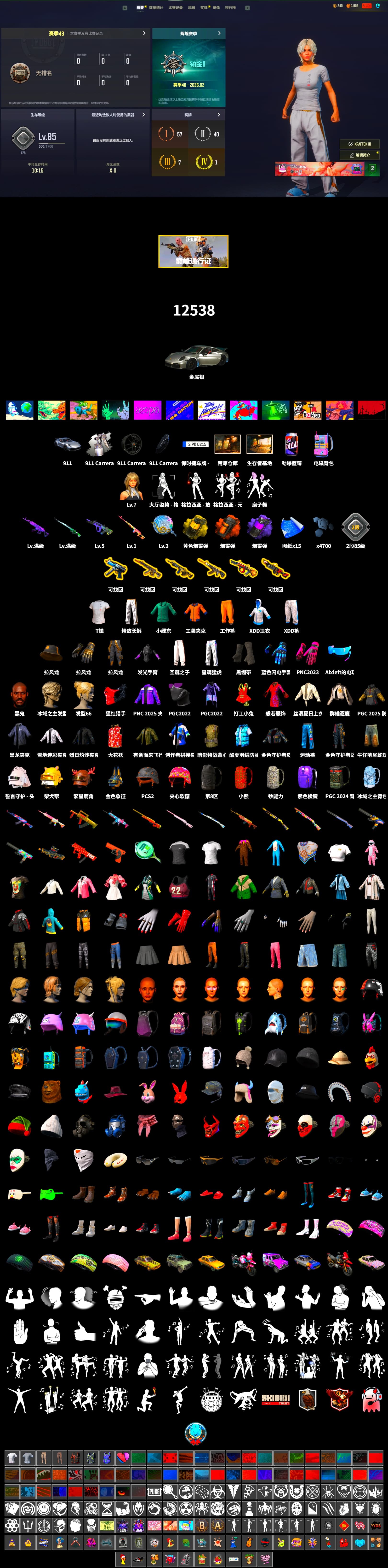 Rest in Pink — Dragunov [1], Purple Smoke Grenade, Orange Smoke Grenade, Yellow Smoke Grenade, Duncan's Infiltrator Handwraps, «911 Carrera GTS» Sports Car, Jonathan Kamau, XingHun's Tiger Strike Pants, Sideshow Bear Feet, Exquisite Pants, Blue Thunder Gloves, 2018 PUBG ALL-STAR T-shirt (Korean) - 2