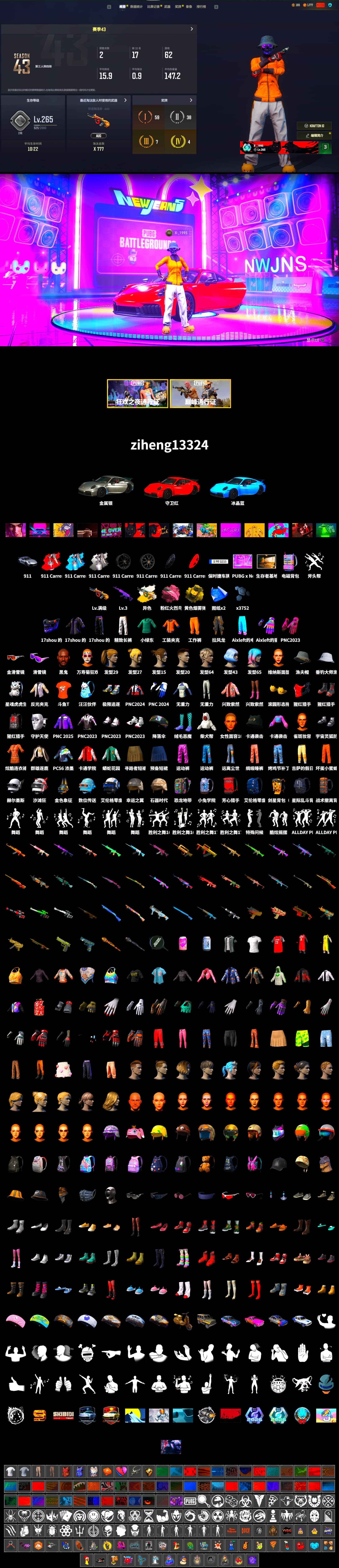 Yellow Smoke Grenade, Pink Flamingo Fling - M79, «911 Carrera GTS» Sports Car, Jonathan Kamau, Snow Glasses, Harley Quinn's Hair, Exquisite Pants, Full Autumn — M416, DOUYU T-shirt - 2