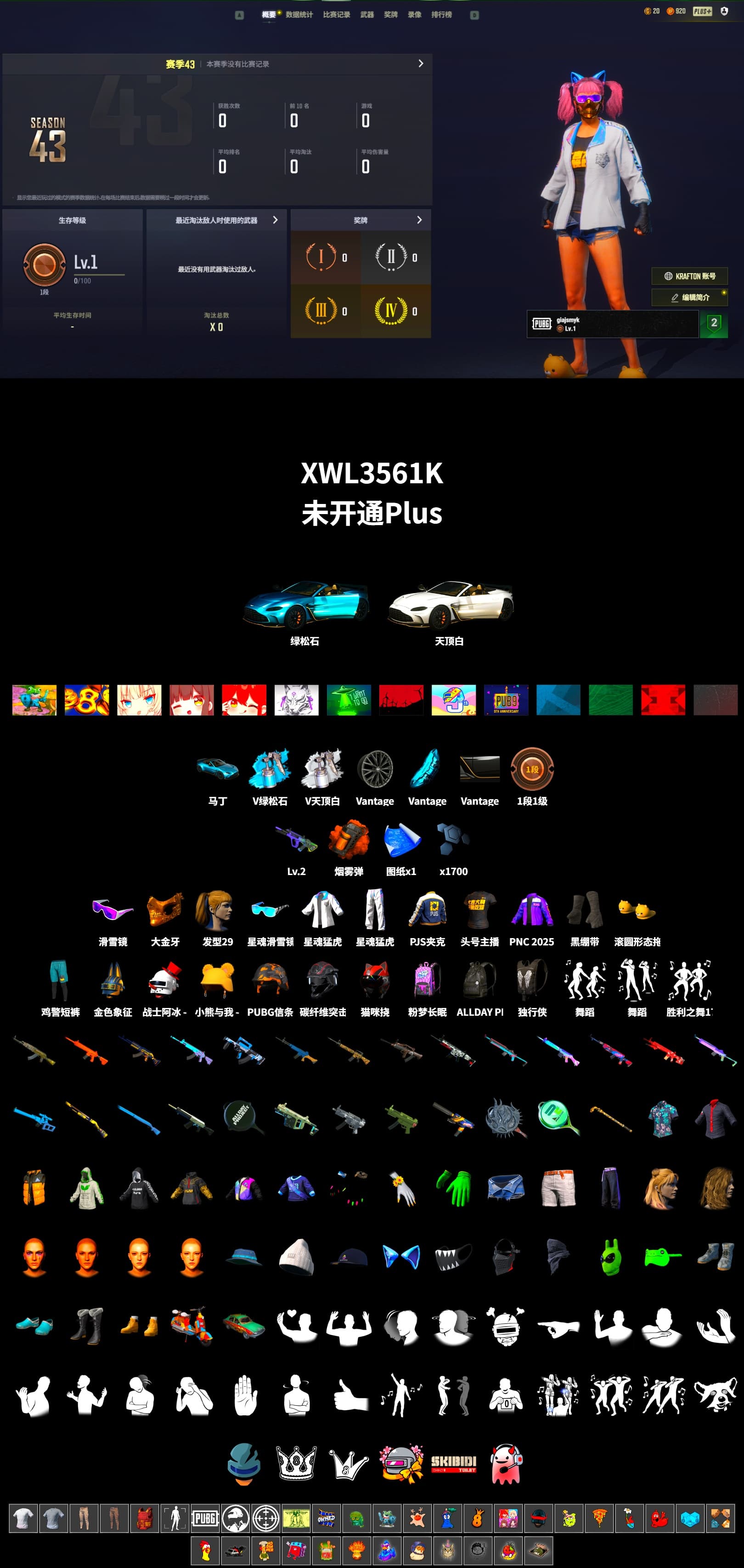 Orange Smoke Grenade, «V12 Vantage Roadster (Luxe)» Sports Car, Duncan's Infiltrator Handwraps, Snow Glasses, PGC 2021 Contingent Chaos Mask, Harley Quinn's Hair, XingHun's Tiger Strike Jacket, XingHun's Tiger Strike Pants, PJS 2019 Phase 2 Jacket, Sha Wujing's Shorts, StreamerOne - 2