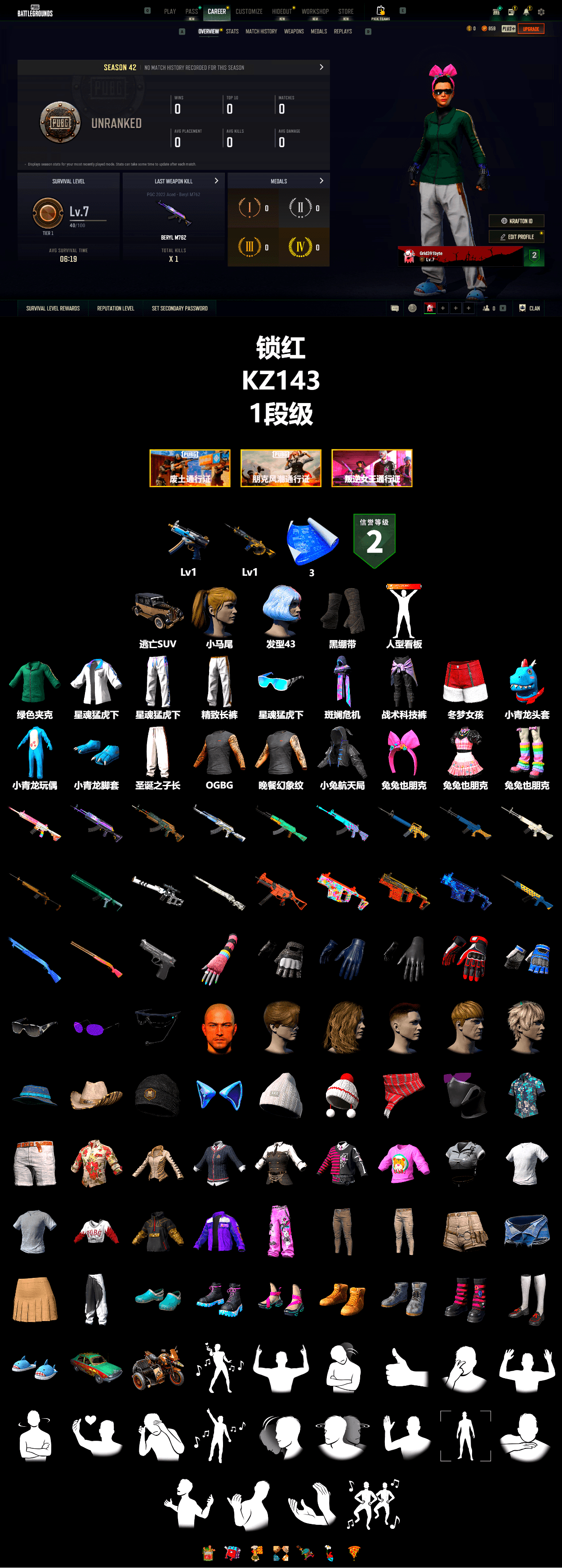 Duncan's Infiltrator Handwraps, Harley Quinn's Hair, XingHun's Tiger Strike Jacket, XingHun's Tiger Strike Pants, Exquisite Pants - 2