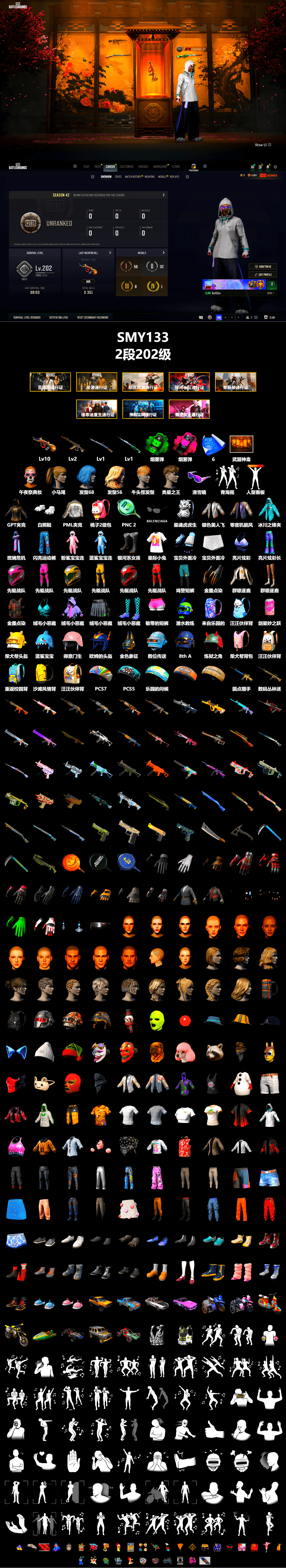 Emerald Smoke Grenade, Magenta Smoke Grenade, Weapons Shrine, Snow Glasses, Polar Bear Feet, Harley Quinn's Hair, PML 2019 Phase 2 Jacket - 2