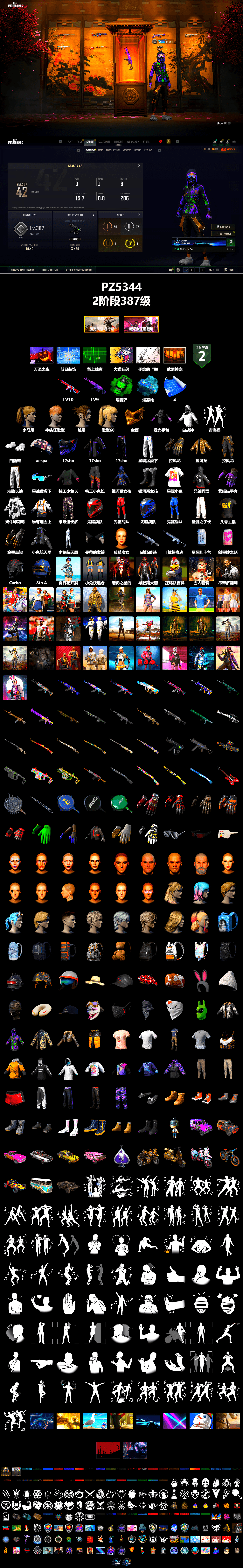Emerald Smoke Grenade, Blue Magical Mist — M79, PGC 2021 Contingent Chaos Mask, Polar Bear Feet, Aespa, Harley Quinn's Hair, XingHun's Tiger Strike Pants, Exquisite Pants, XiongDi Hoodie, StreamerOne - 2