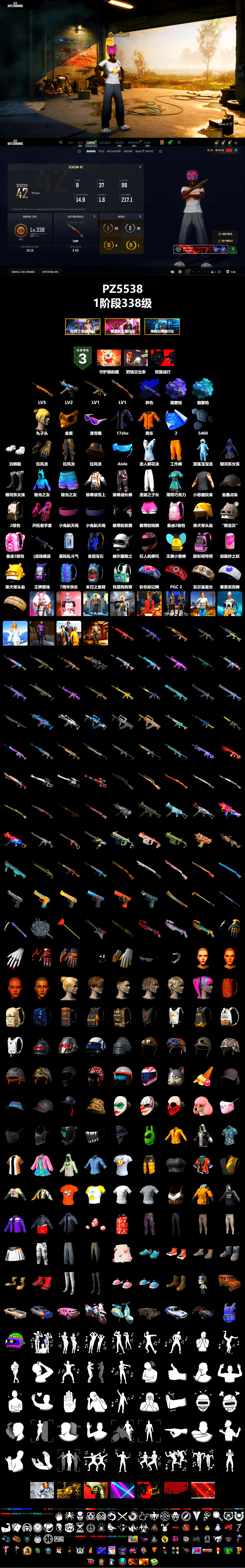 Final Serenade — M24 (Blue Black), Purple Magical Mist — M79, Blue Magical Mist — M79, Snow Glasses, PGC 2021 Contingent Chaos Mask, Polar Bear Feet, HUYA T-shirt, DOUYU T-shirt - 2