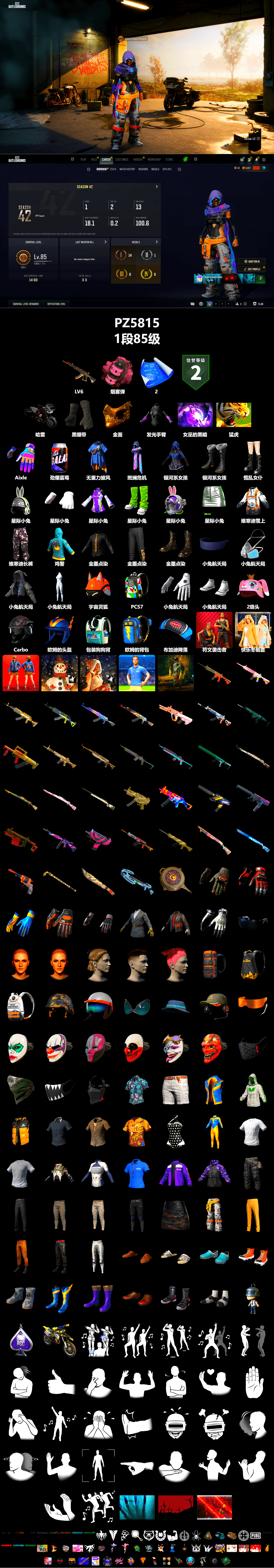 Pink Smoke Grenade, Duncan's Infiltrator Handwraps, PGC 2021 Contingent Chaos Mask - 2