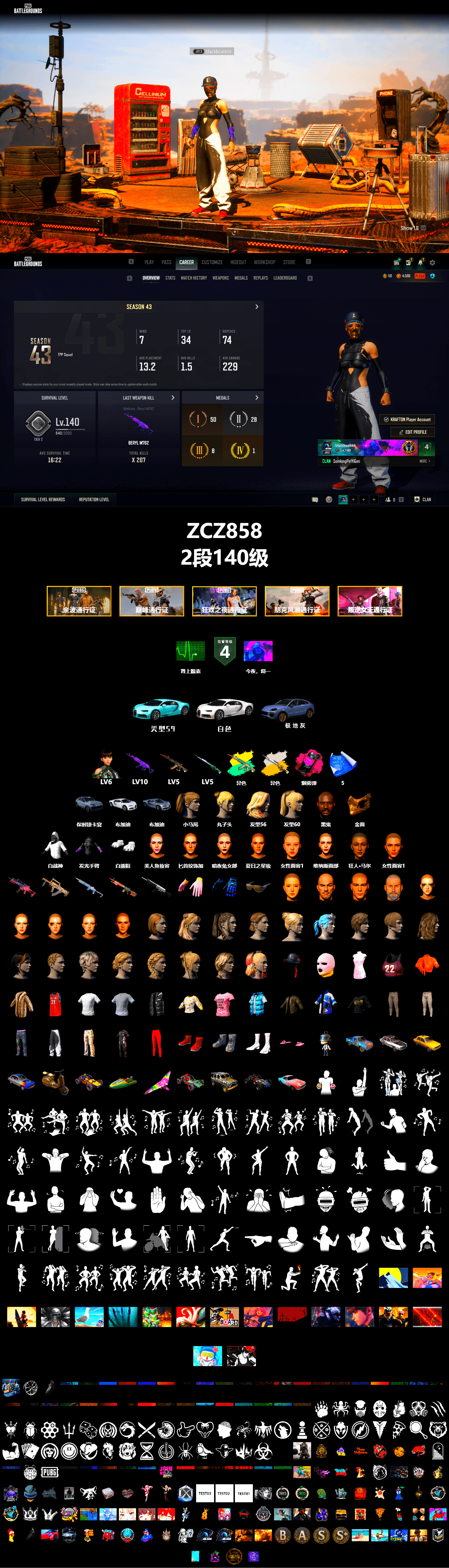 Cosmic Caliber - Kar98k (White Yellow), Magenta Smoke Grenade, «Cayenne Turbo GT» SUV, «Chiron» Sports Car, Jonathan Kamau, PGC 2021 Contingent Chaos Mask, Polar Bear Feet, Harley Quinn's Hair, Heavy Fur Coat (Black) - 2