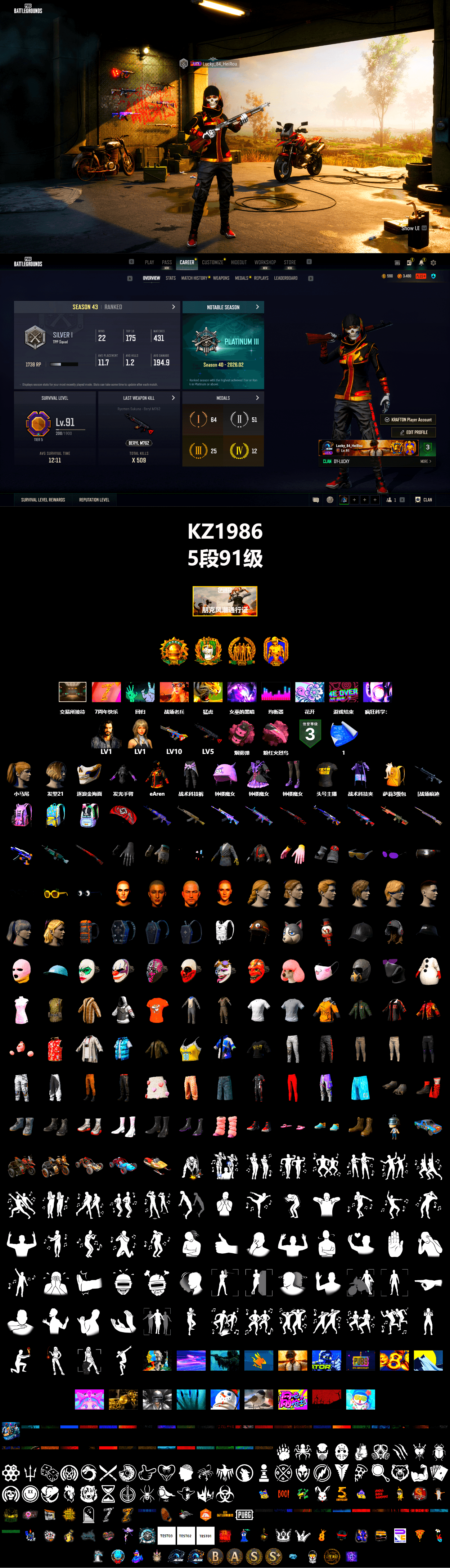 Pink Smoke Grenade, Pink Flamingo Fling - M79, Harley Quinn's Hair, StreamerOne, Heavy Fur Coat (Black), DOUYU T-shirt - 2